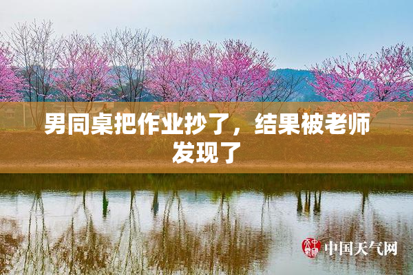 男同桌把作业抄了，结果被老师发现了