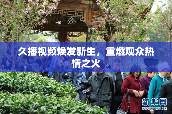 久播视频焕发新生，重燃观众热情之火