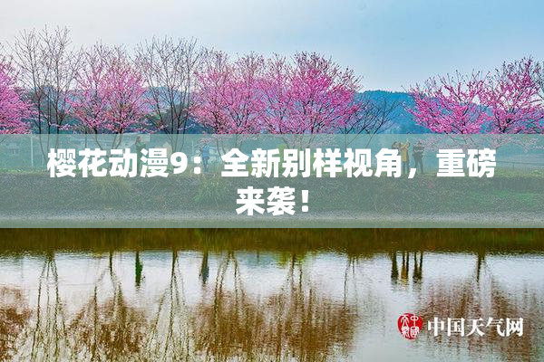 樱花动漫9：全新别样视角，重磅来袭！