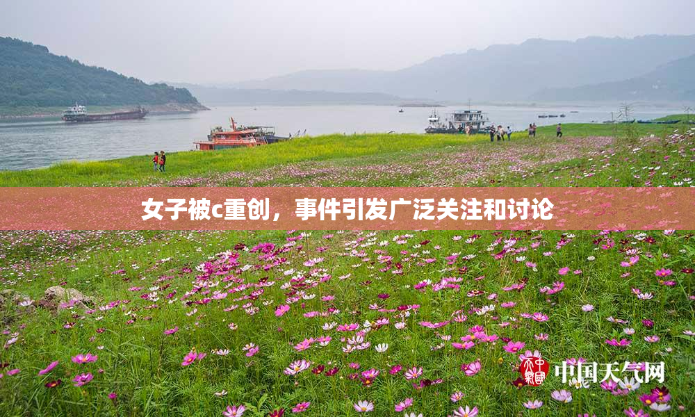 女子被c重创，事件引发广泛关注和讨论