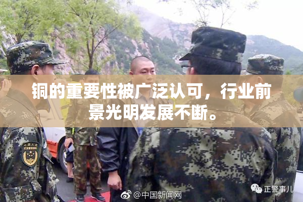 铜的重要性被广泛认可，行业前景光明发展不断。