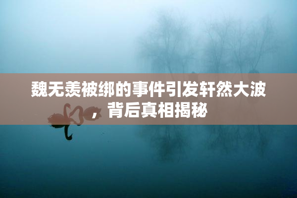 魏无羡被绑的事件引发轩然大波，背后真相揭秘