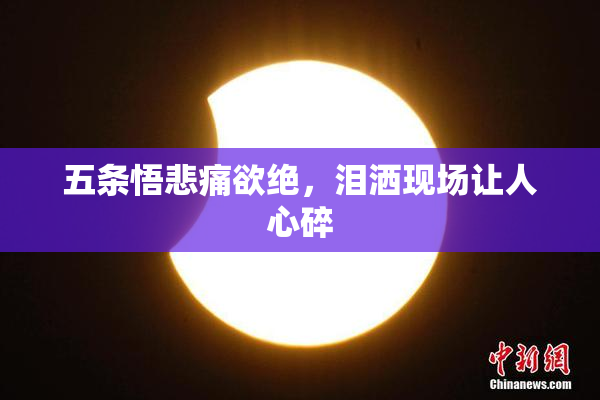 五条悟悲痛欲绝，泪洒现场让人心碎