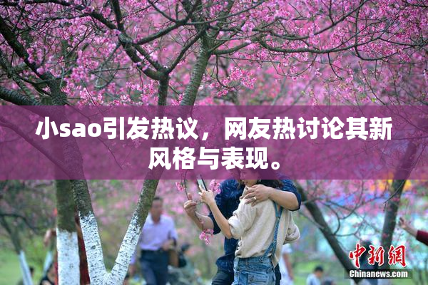 小sao引发热议，网友热讨论其新风格与表现。