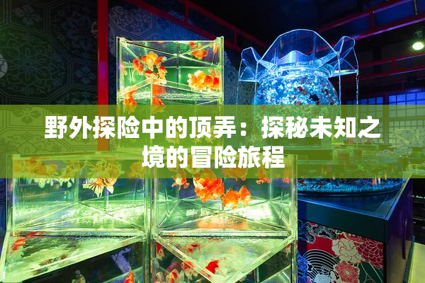 野外探险中的顶弄：探秘未知之境的冒险旅程