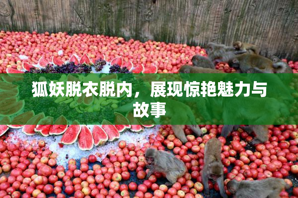 狐妖脱衣脱内，展现惊艳魅力与故事
