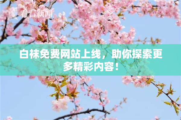 白袜免费网站上线，助你探索更多精彩内容！