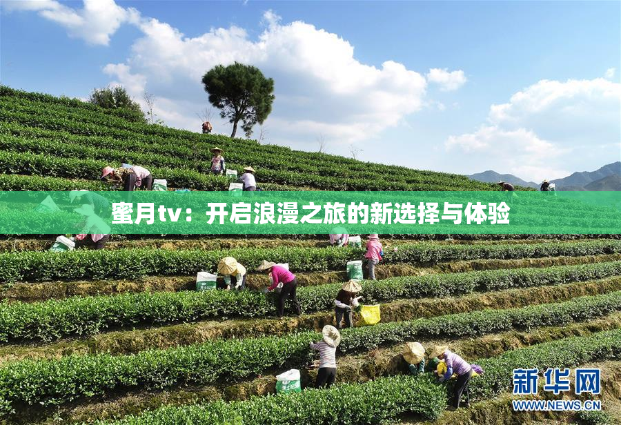 蜜月tv：开启浪漫之旅的新选择与体验