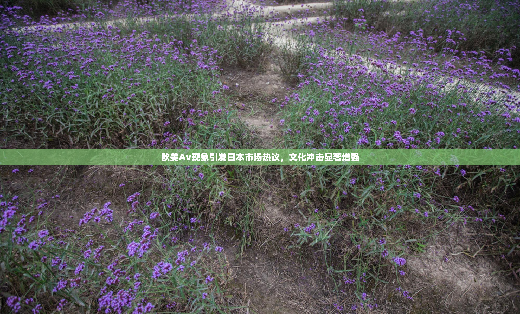 欧美Av现象引发日本市场热议，文化冲击显著增强