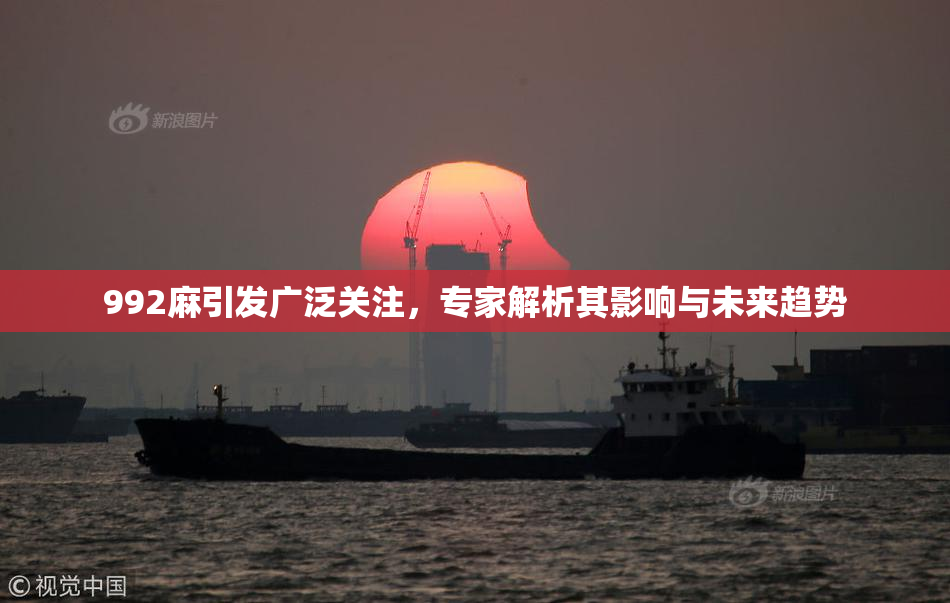 992麻引发广泛关注，专家解析其影响与未来趋势