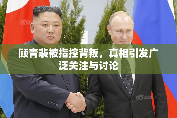 顾青裴被指控背叛，真相引发广泛关注与讨论