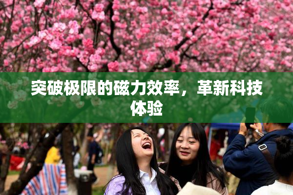 突破极限的磁力效率，革新科技体验