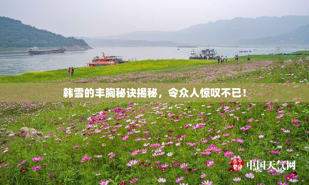 韩雪的丰胸秘诀揭秘，令众人惊叹不已！
