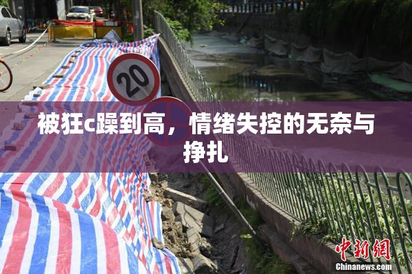 被狂c躁到高，情绪失控的无奈与挣扎