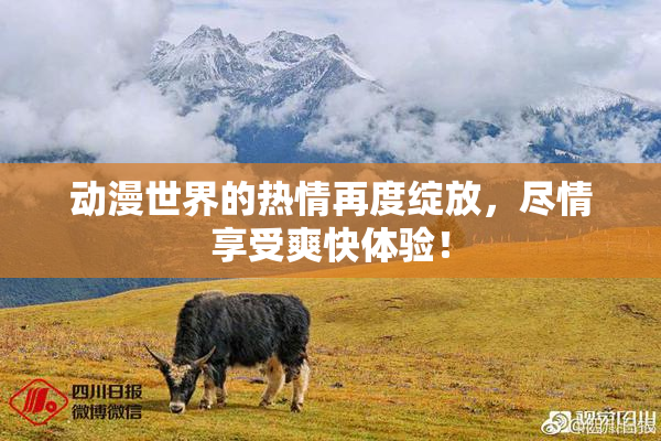 动漫世界的热情再度绽放，尽情享受爽快体验！