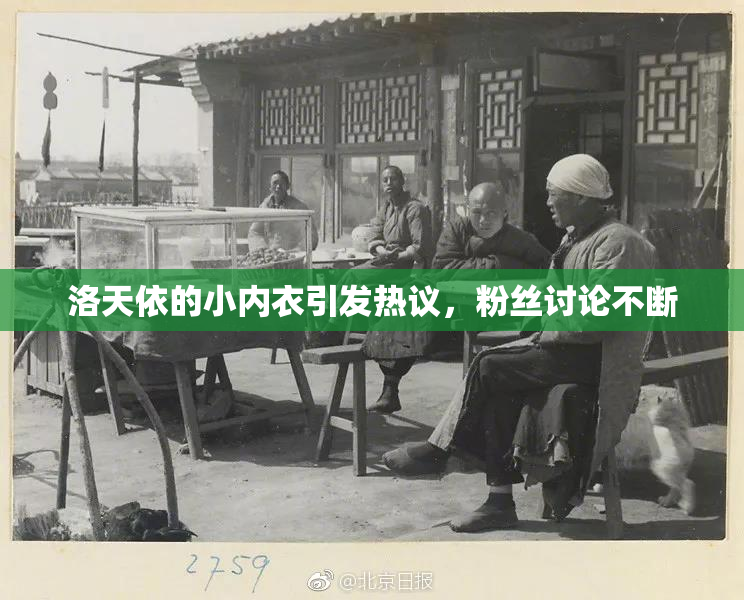 洛天依的小内衣引发热议，粉丝讨论不断