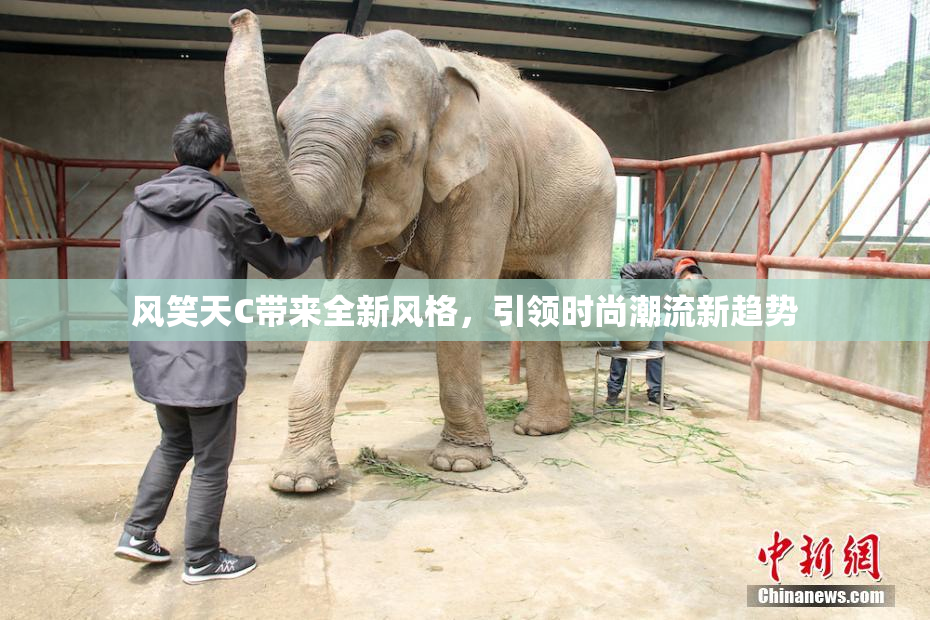 风笑天C带来全新风格，引领时尚潮流新趋势