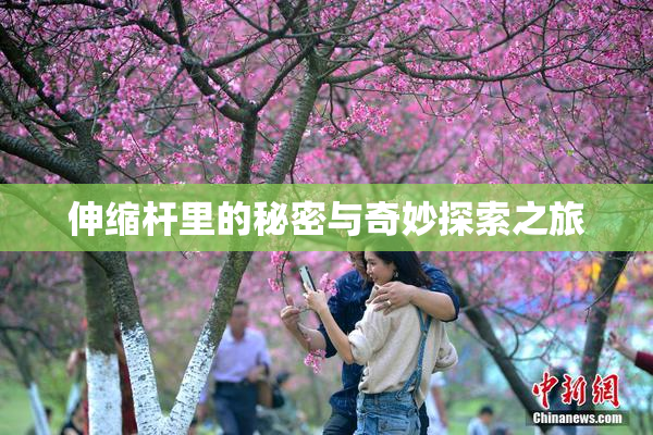 伸缩杆里的秘密与奇妙探索之旅