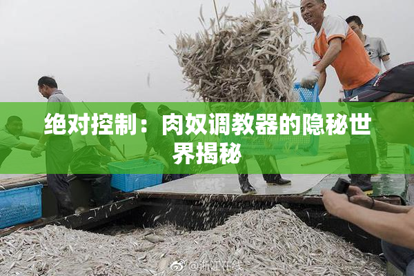 绝对控制：肉奴调教器的隐秘世界揭秘