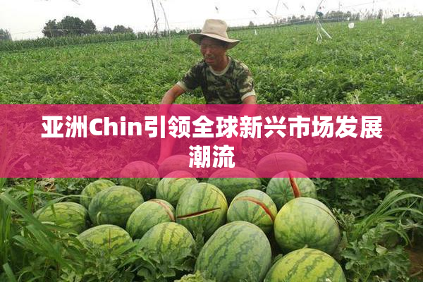 亚洲Chin引领全球新兴市场发展潮流