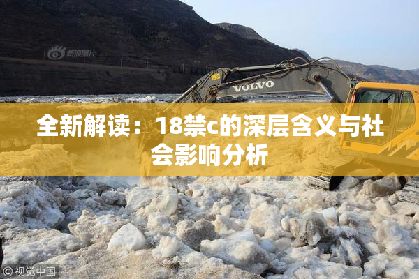 全新解读：18禁c的深层含义与社会影响分析