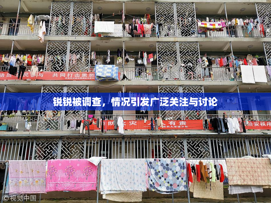 锐锐被调查，情况引发广泛关注与讨论