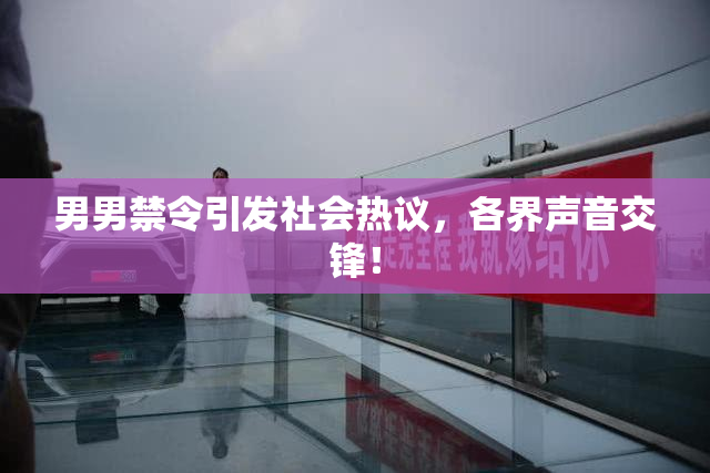 男男禁令引发社会热议，各界声音交锋！