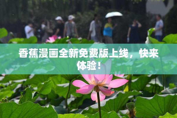 香蕉漫画全新免费版上线，快来体验！