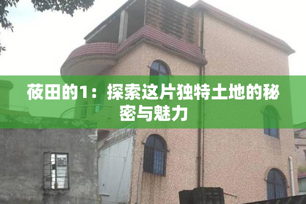 莜田的1：探索这片独特土地的秘密与魅力