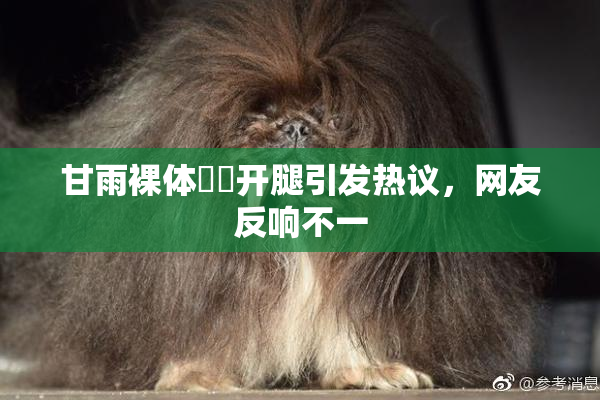 甘雨裸体❌‌开腿引发热议，网友反响不一