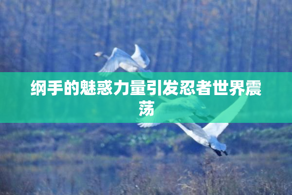 纲手的魅惑力量引发忍者世界震荡