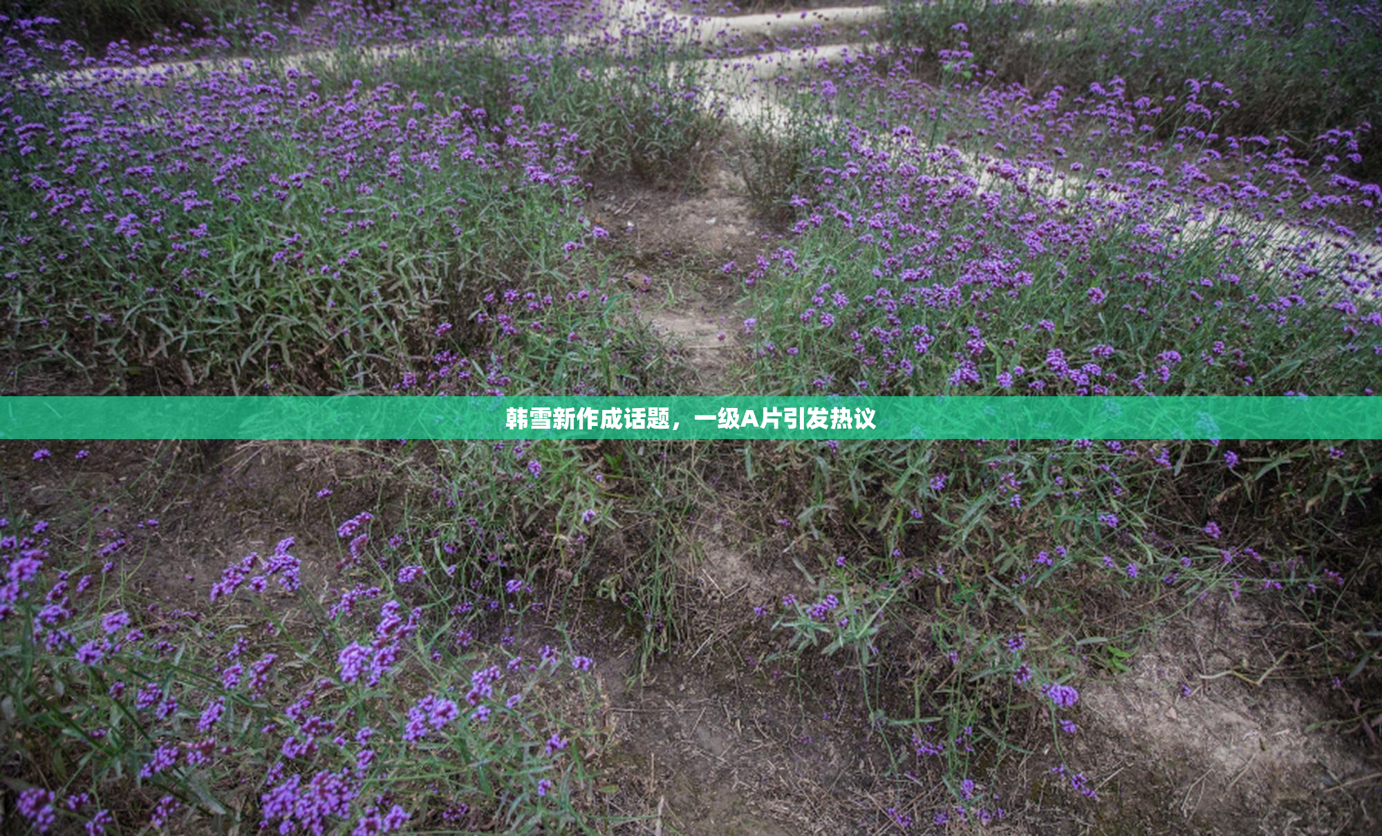 韩雪新作成话题，一级A片引发热议