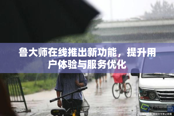 鲁大师在线推出新功能，提升用户体验与服务优化