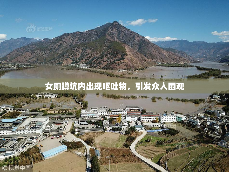 女厕蹲坑内出现呕吐物，引发众人围观