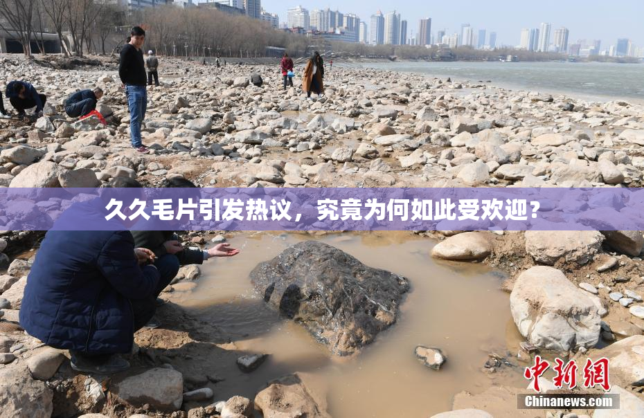 久久毛片引发热议，究竟为何如此受欢迎？