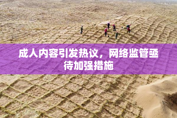 成人内容引发热议，网络监管亟待加强措施