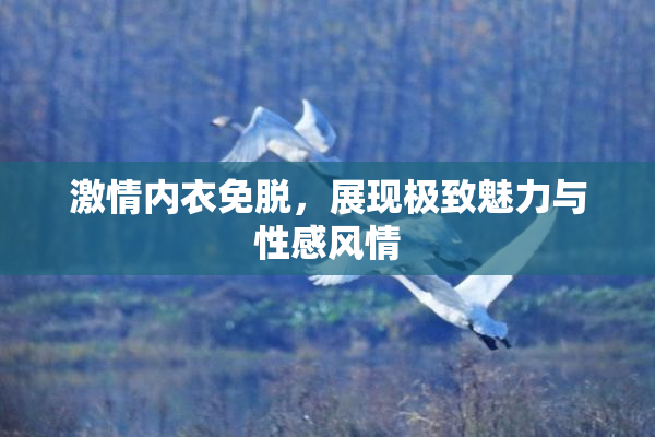 激情内衣免脱，展现极致魅力与性感风情
