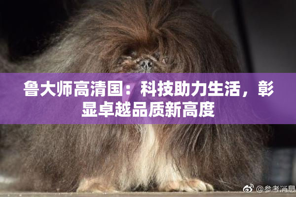 鲁大师高清国：科技助力生活，彰显卓越品质新高度