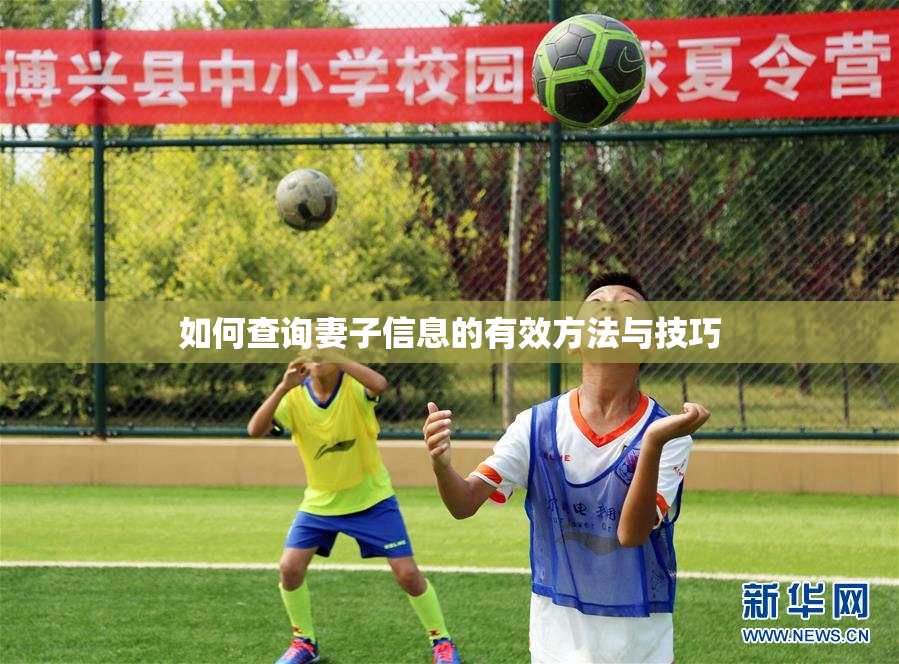 如何查询妻子信息的有效方法与技巧