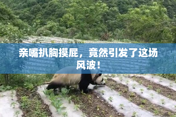 亲嘴扒胸摸屁，竟然引发了这场风波！
