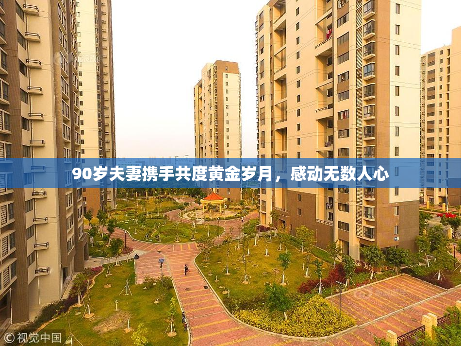 90岁夫妻携手共度黄金岁月，感动无数人心