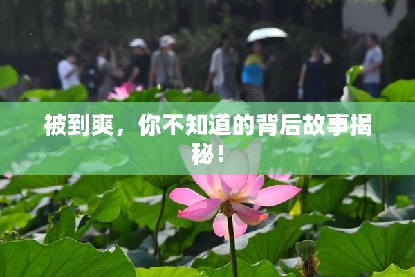 被到爽，你不知道的背后故事揭秘！