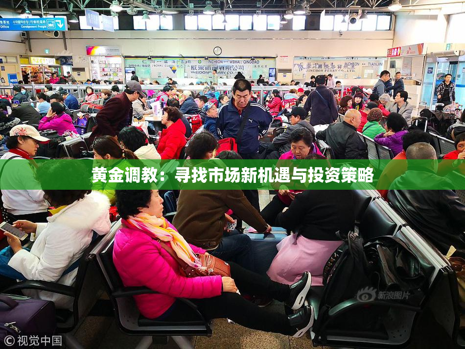 黄金调教：寻找市场新机遇与投资策略