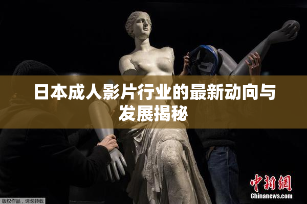 日本成人影片行业的最新动向与发展揭秘