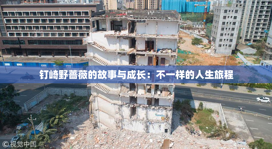 钉崎野蔷薇的故事与成长：不一样的人生旅程