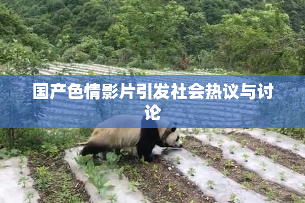 国产色情影片引发社会热议与讨论