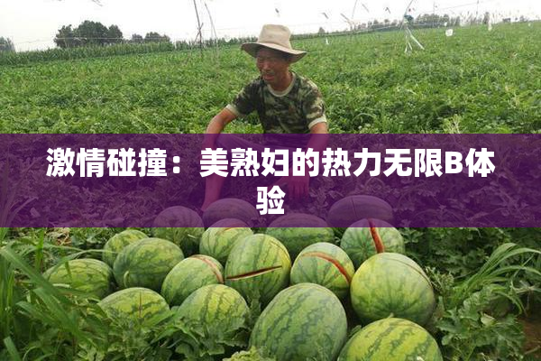 激情碰撞：美熟妇的热力无限B体验