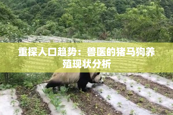 重探人口趋势：兽医的猪马狗养殖现状分析