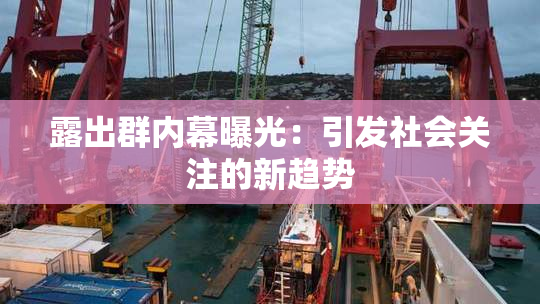 露出群内幕曝光：引发社会关注的新趋势
