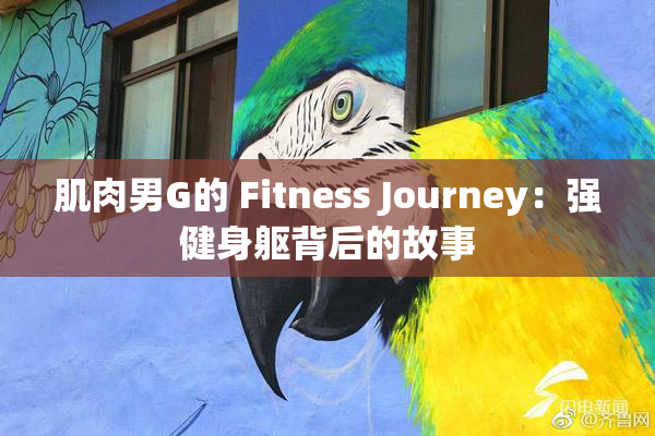 肌肉男G的 Fitness Journey：强健身躯背后的故事